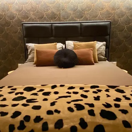 Stylish Urban New 2021 Close To The *